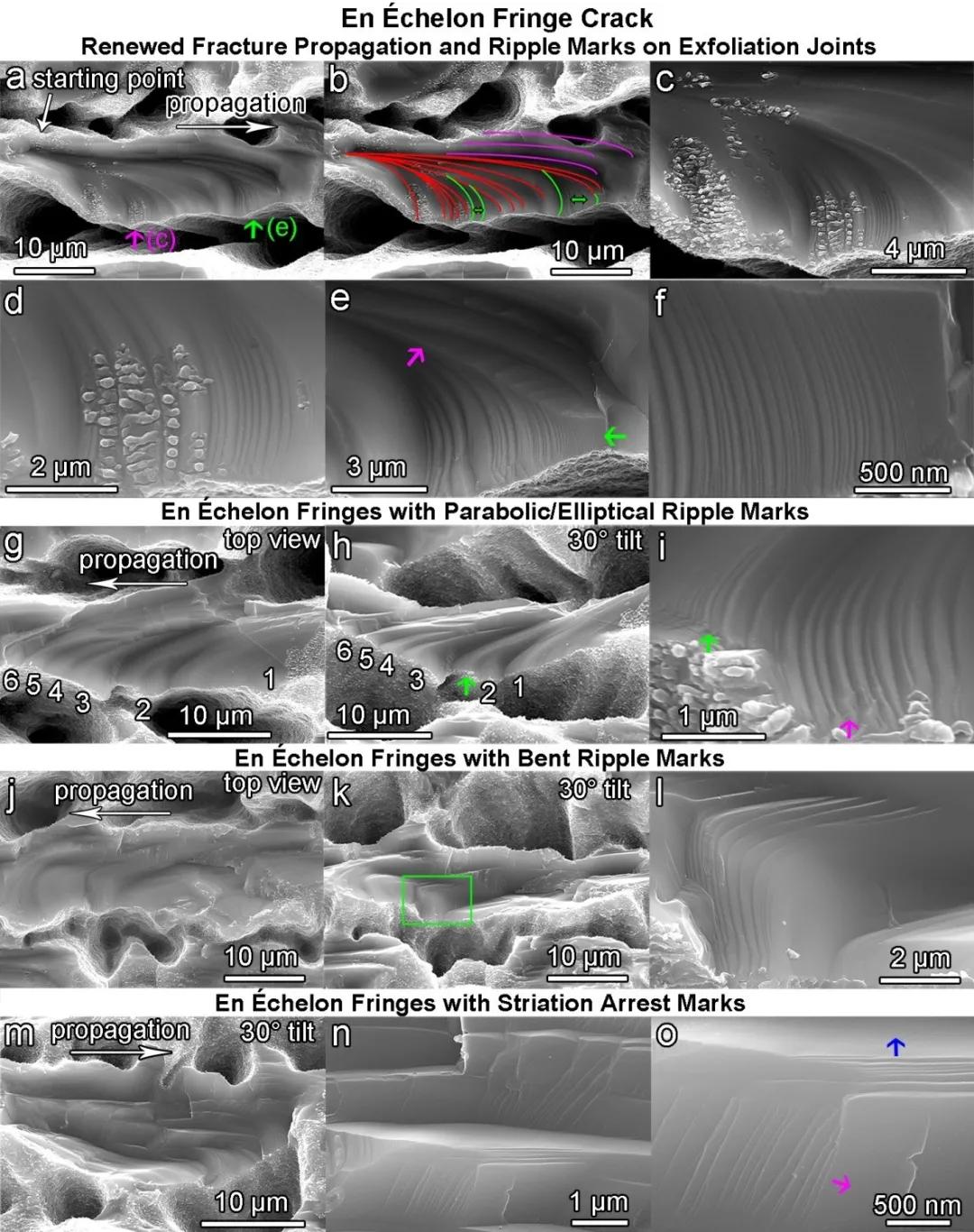 1603868369796279.jpeg 44.jpeg