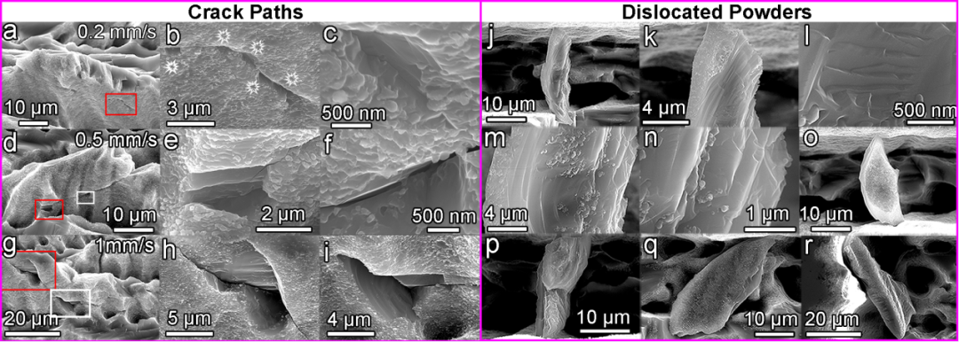 1603868407229681.png 88.png