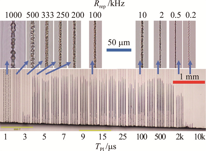 1685687167129787.jpg bf0e6cb8a393f4f1508e292c8591e982_jgjs-47-3-345-6.jpg