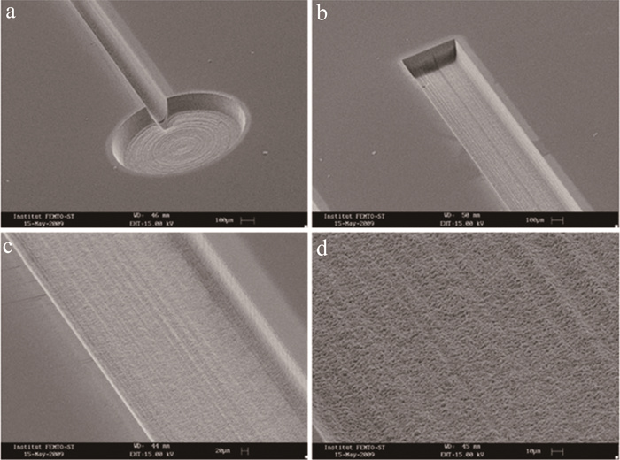 1685687201396101.jpg 523346dc4fb2f56d299282395bccd747_jgjs-47-3-345-10.jpg