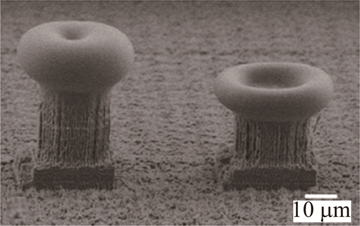 1685687223313307.jpg 08972544decc0749a7f407d518f9f5df_jgjs-47-3-345-13.jpg