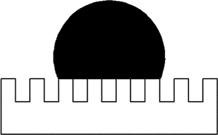 1685689156780070.jpg 6a09879c0a0cb7d03e0e3494f47f9f7c_jgjs-43-4-493-3.jpg