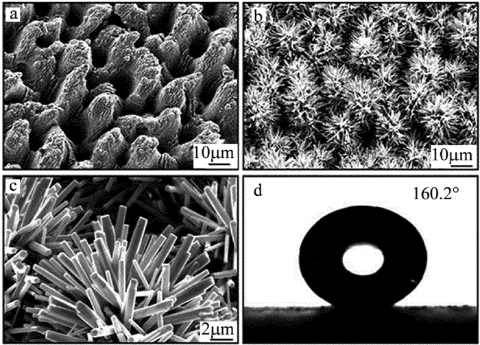 1685689180451018.jpg e856dd1e6ddb555bb63ff2c23fd34359_jgjs-43-4-493-6.jpg