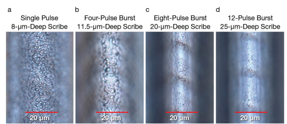 1729844216152870.png 微信圖片_20241025161641.png